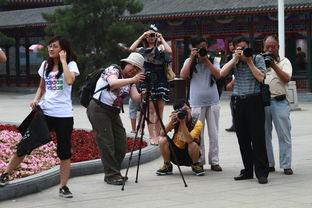 中山维纳斯花絮